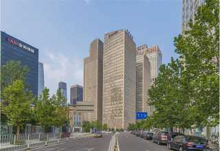 河北苏丹草草种有哪些